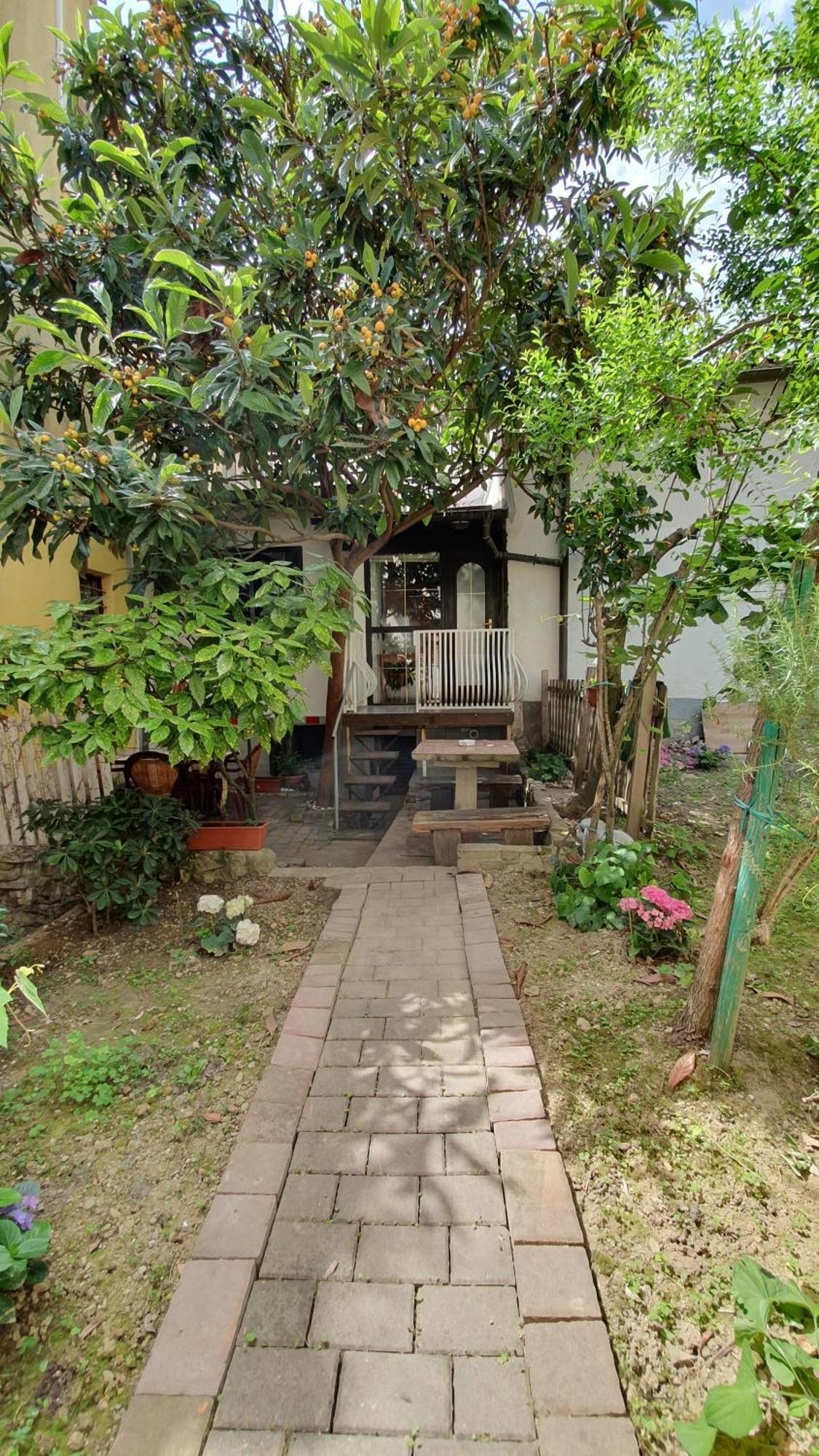 Apartmaji Mila Piran Lägenhet Exteriör bild